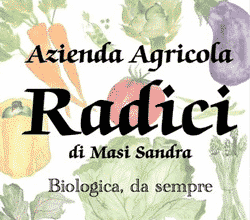 Sughi, conserve e salse BIO