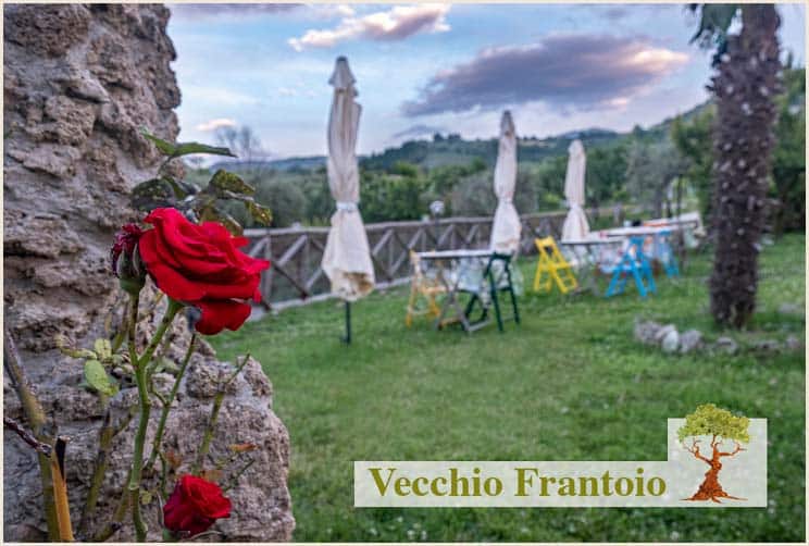 Vecchio Frantoio