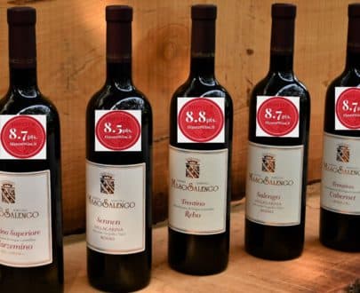 Premi e riconoscimenti Vini rossi Maso Salengo