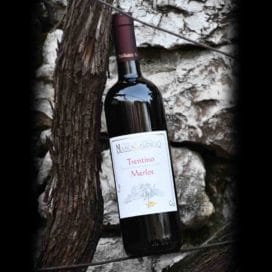 Trentino_DOC_Merlot-Maso_Salengo_