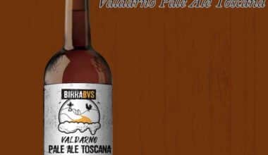 BVS_Birra_Valdarno_Pale_Ale-380x220