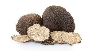 tartufo estivo immagine