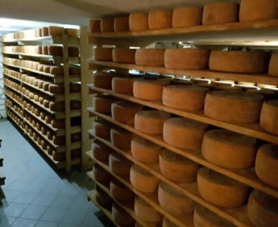 Pecorino Bagnolese Milk Coop